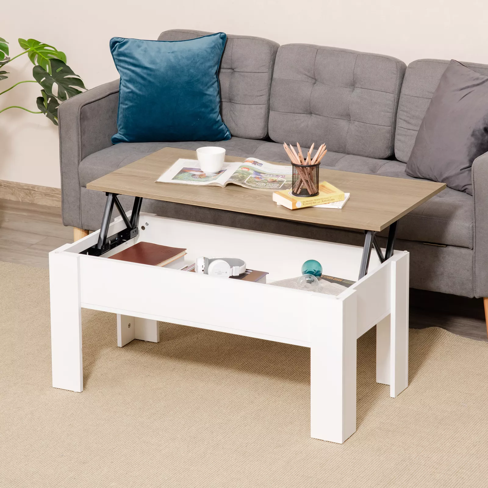 Karl Lift Top Coffee Table With Storage