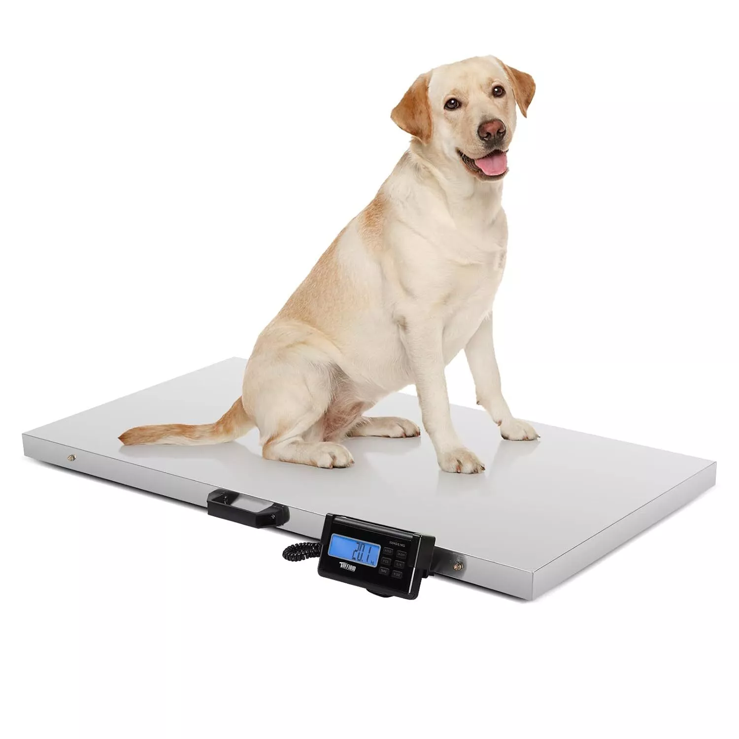 Large Pet Heavy Duty Weighing Scale - Image 2