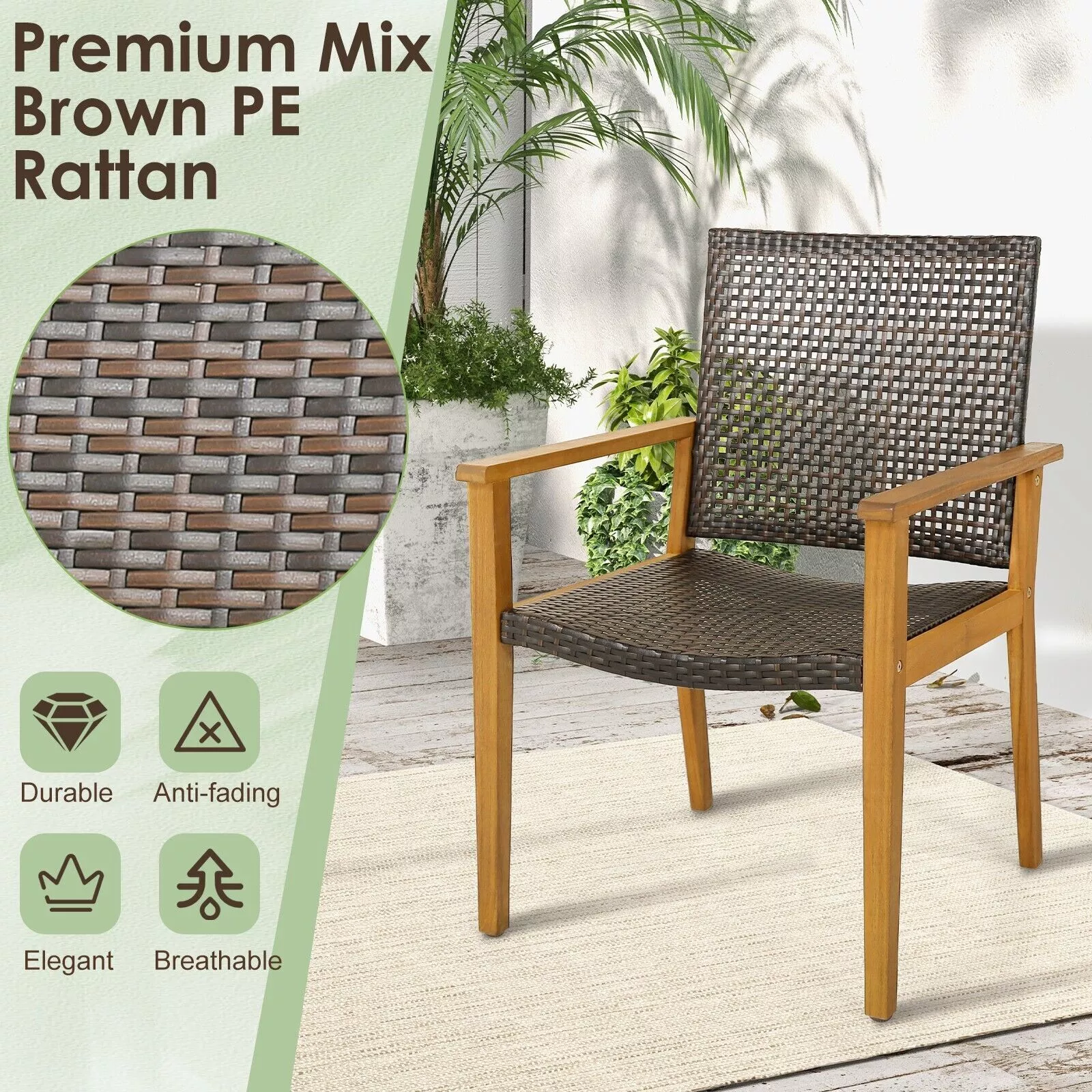 Lopez Rattan Garden Chair (Set of 4) - Image 3
